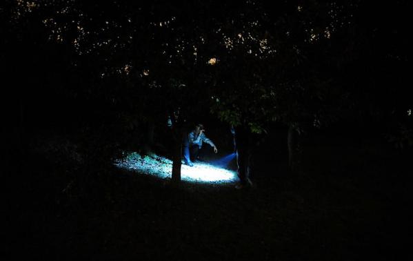 广州某大学深夜抓暗地幽会的学生（趣图）
