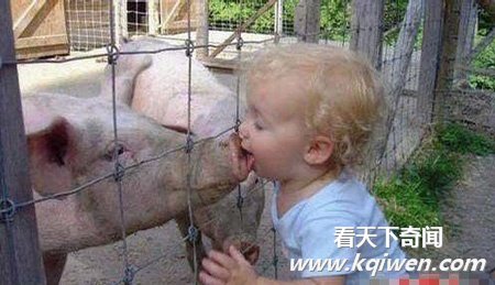 二B啊！多脑残的父母
