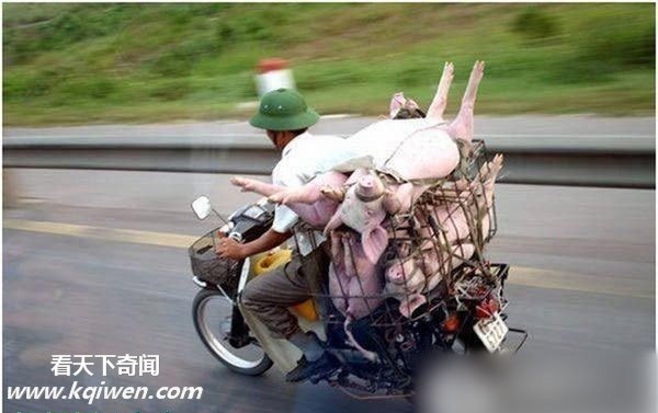 搜罗各地的摩托车强人 让人笑抽了(组图)